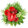 Bouquet - Love magic