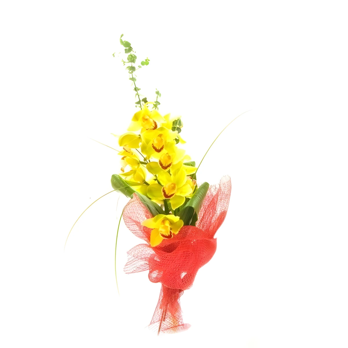 Delivery of Bouquet - For Men