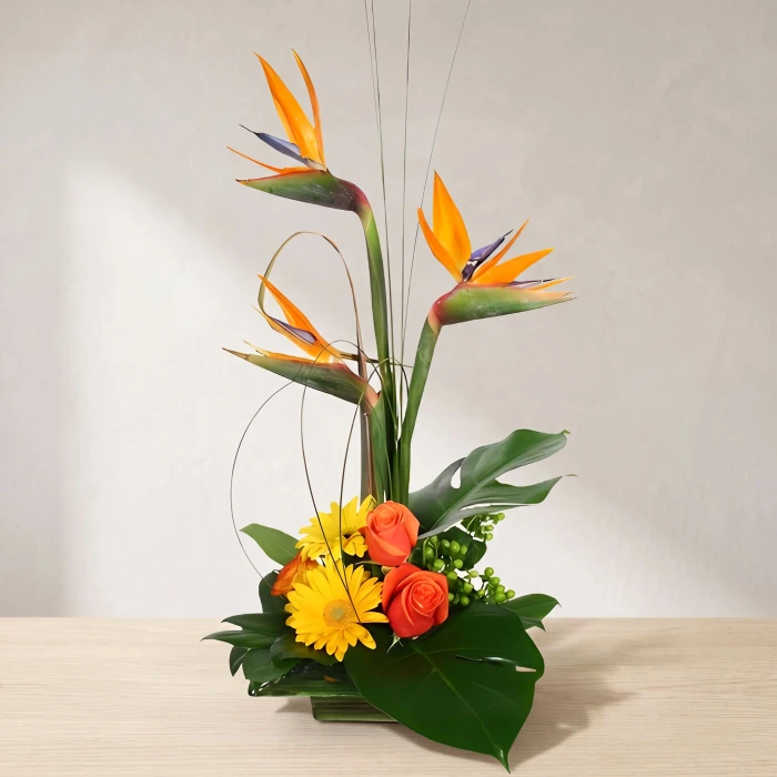 Send flower arrangement of strelitzias, roses and greenery.