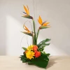 Modern arrangement