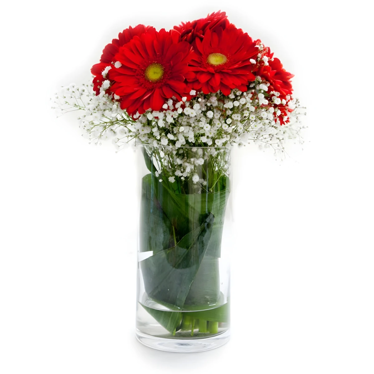 Delivery of bouquet of gerberas - Scarlet dawn