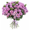 Bouquet of pink chrysanthemums with a bow
