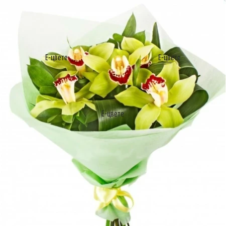 Bouquet of orchid Cymbidium