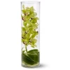 Cymbidium Orchid in Glass