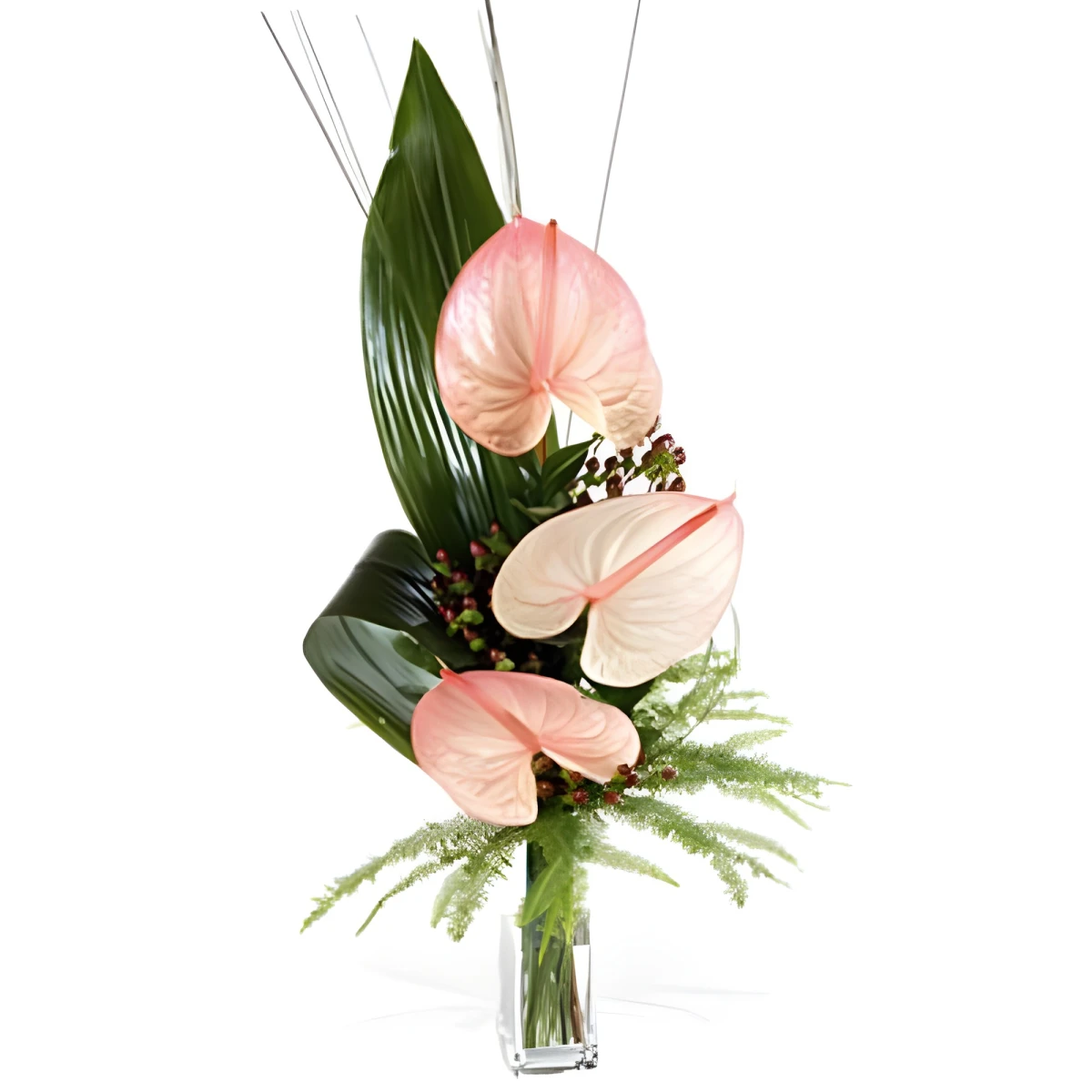 Bouquet of Anthuriums