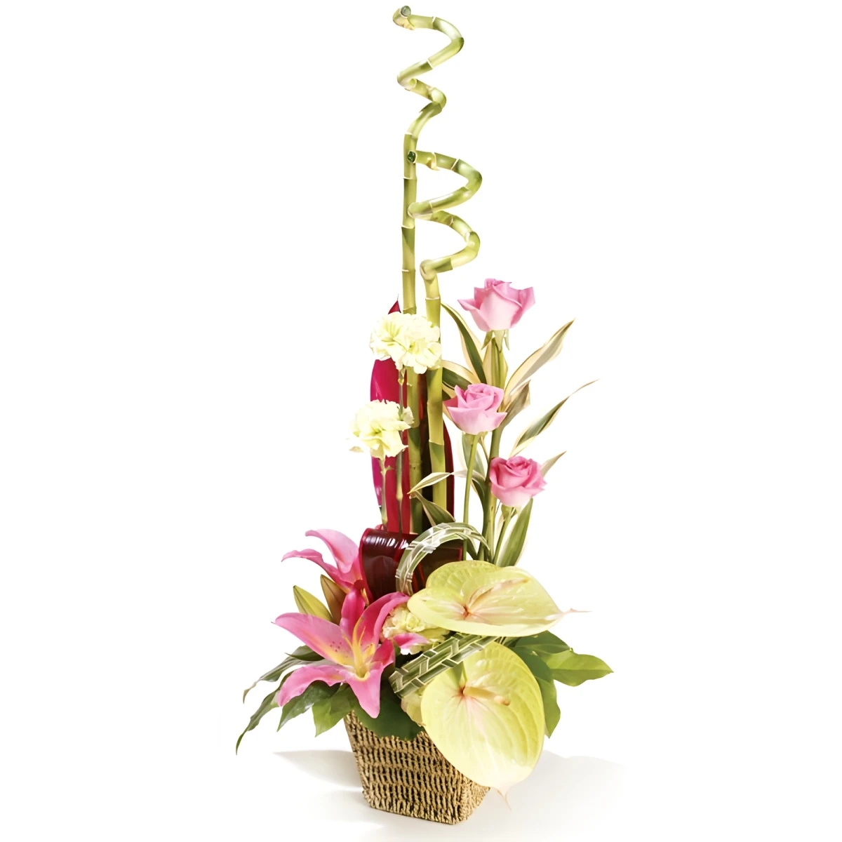 Send an arrangement of exotic flowers to Sofia.