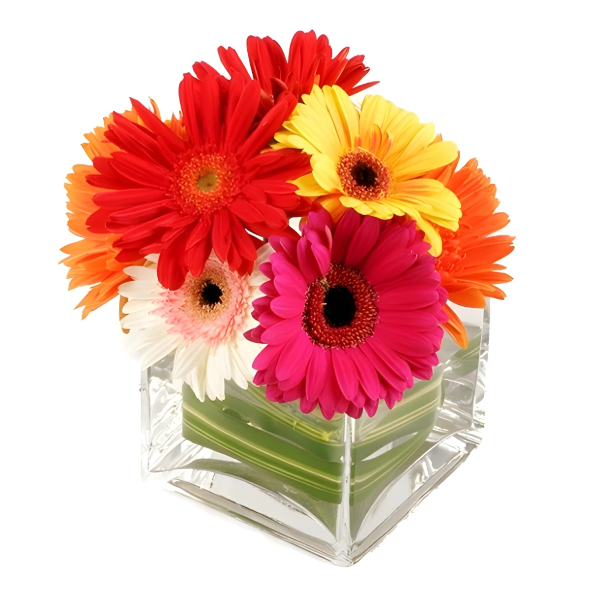 Send an arrangement of flowers.