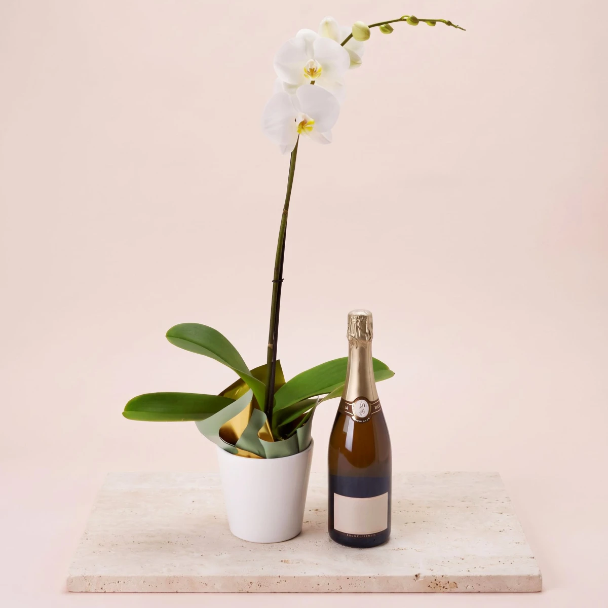 Send white Phalaenopsis orchid to Sofia, Plovdiv, Varna.