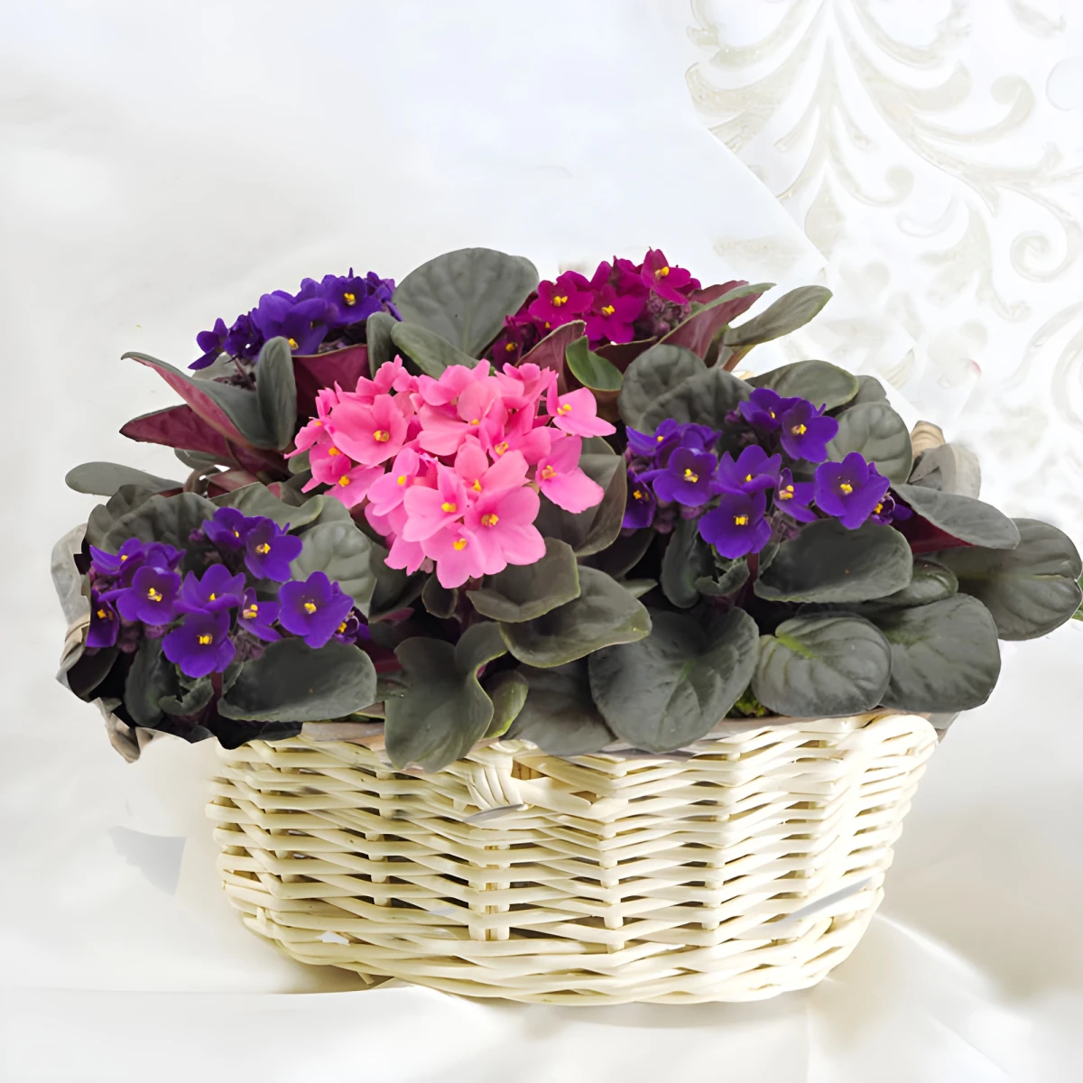 Flower delivery to Bulgariа a Basket of Violets