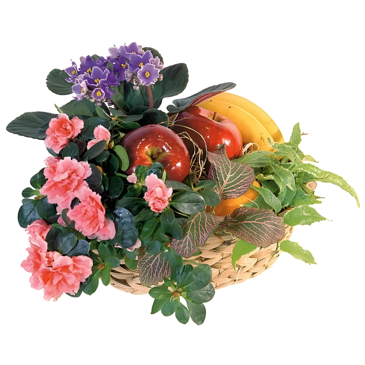 Send a basket with fruits and potted plants.