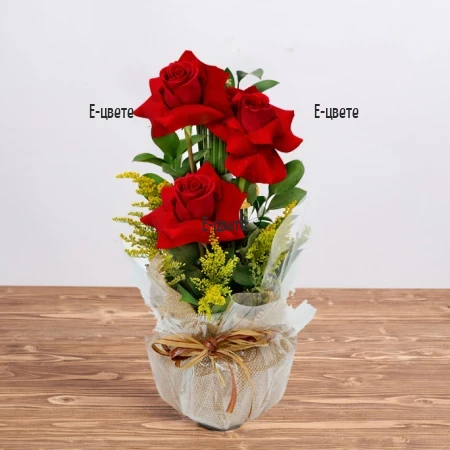 Send an arrangement of roses  to Sofia.
