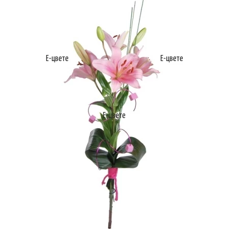 Send a bouquet of one Lily stem .