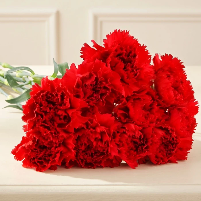 16 Red Carnations for Condolences | Flower Delivery