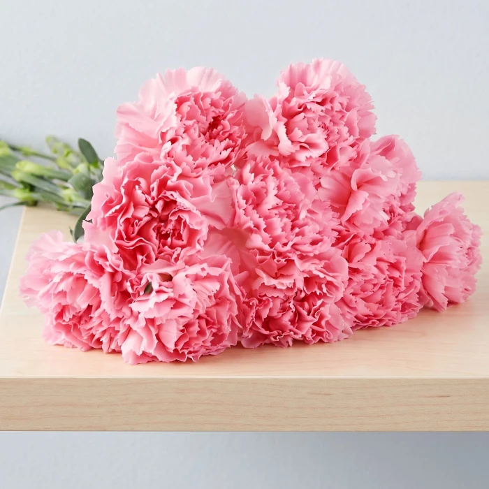 16 Pink Carnations for Sympathy – Delivery Available