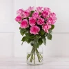 Pink Roses