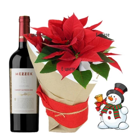 Send Poinsettia and wine