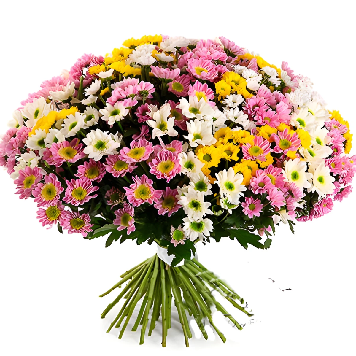 Send an enormous bouquet of chrysanthemums