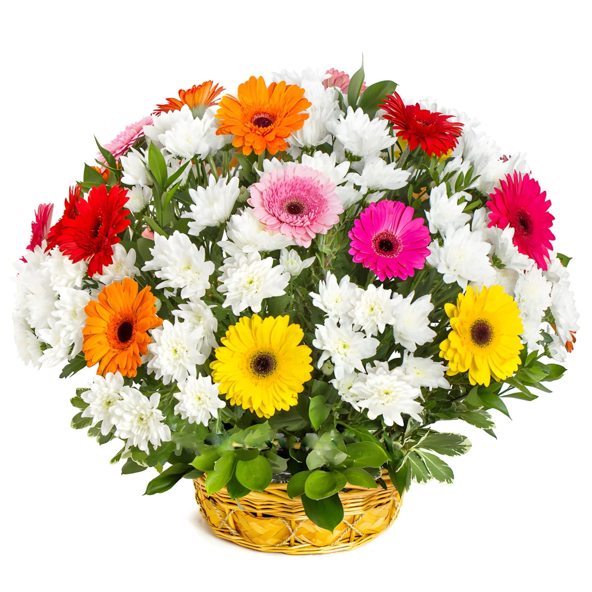 Send a basket with various flowers.