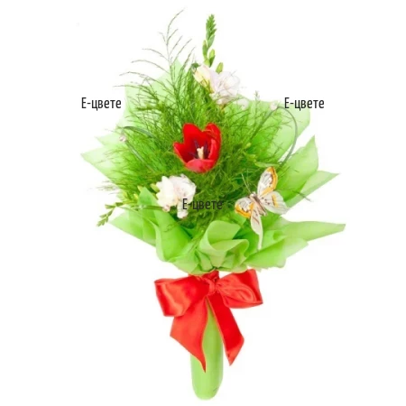 Send a bouquet of tulips and freesias to Sofia, Plovdiv, Varna.