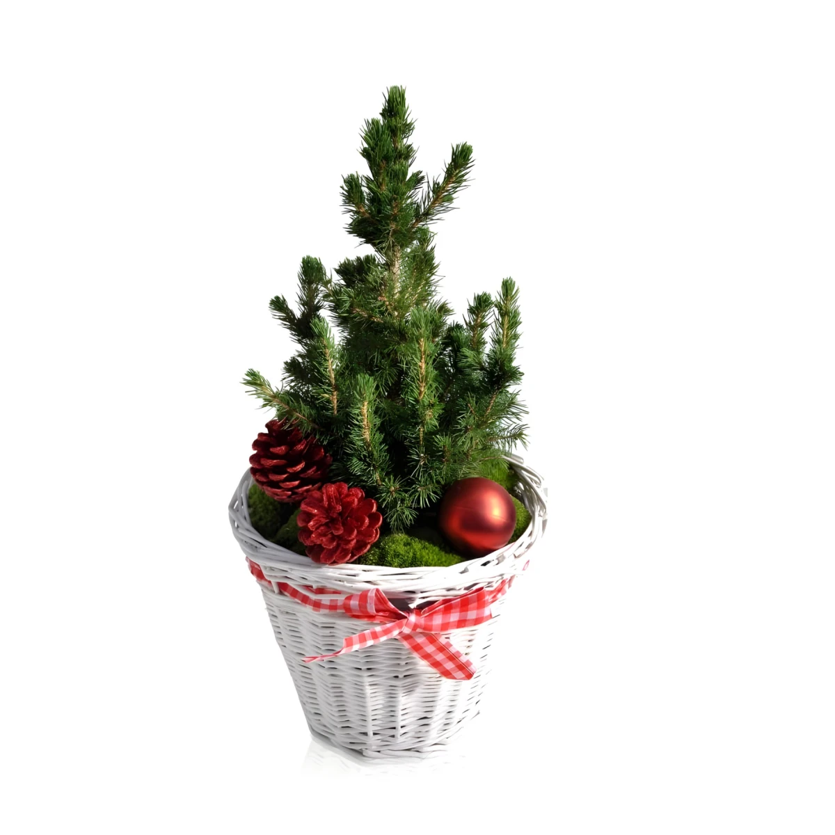 An online order and a elivery by courier of Christmas tree.