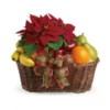 Christmas fruits