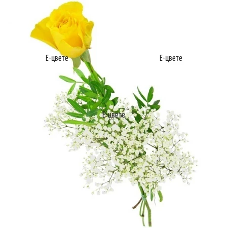 One Yellow Rose Flowers Delivery
