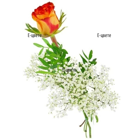 One Orange Rose Flowers Delivery