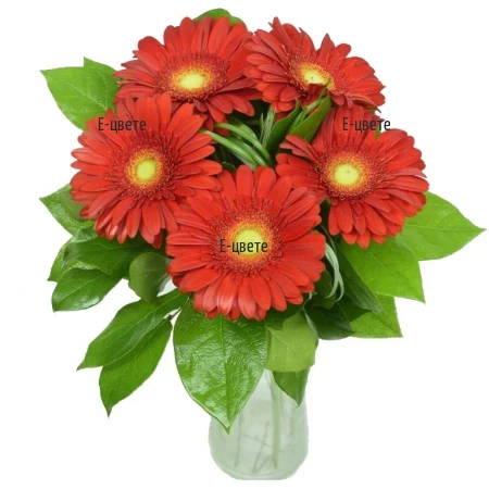 Send a bouquet of five gerberas.