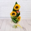 Summer fascination
