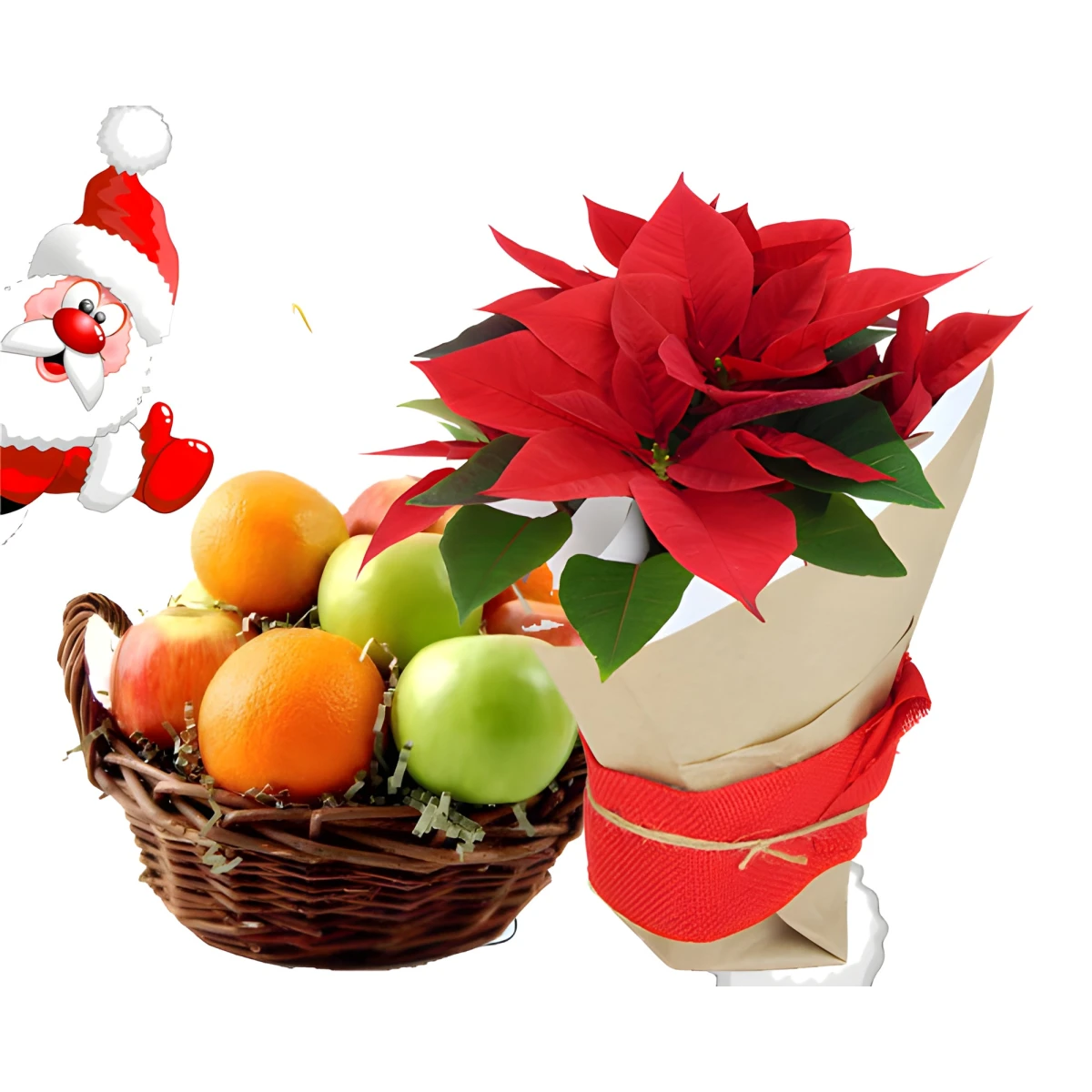 Send a Poinsettia and fruit basket