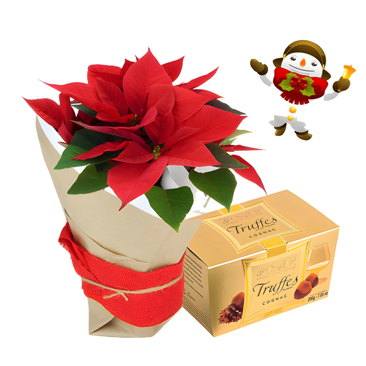 Send Poinsettia and chocolates