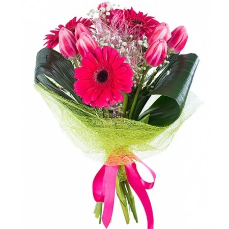 Send tulips bouquet to Bulgaria