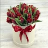 25 red tulips in flower box