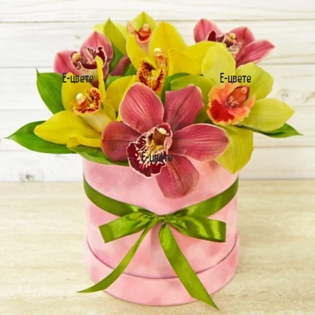 Order of orchids in a box to Bulgaria