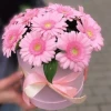 11 розови гербера в цветна кутия