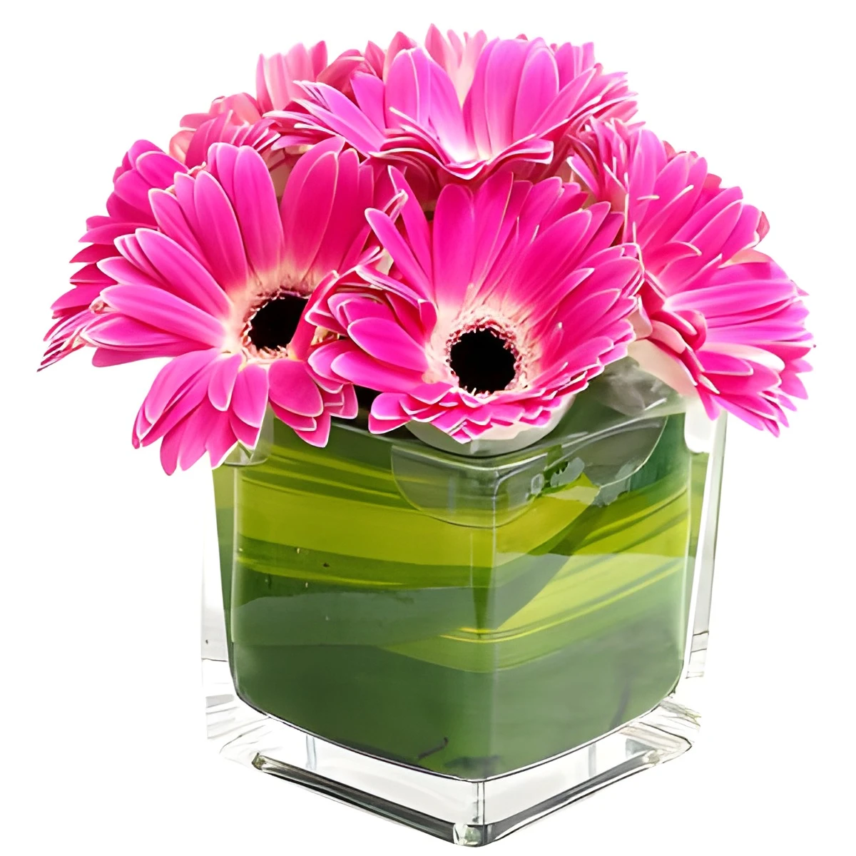 Delivery of gerberas in a glass cube