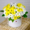 Colorful chrysanthemums in a round box