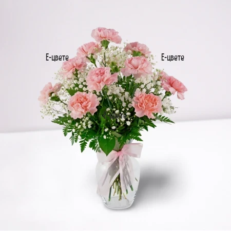 Send a bouquet of pink carnations to Bulgaria