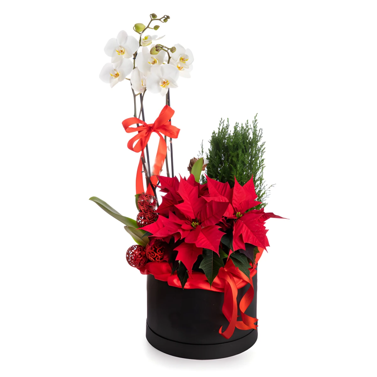 Send to Bulgaria flower box with christmas plants