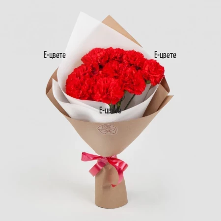 Send to Bulgaria a bouquet of 11 carnations