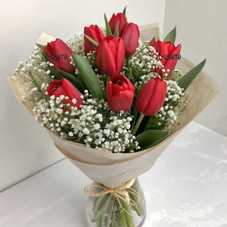Send a bouquet of red tulips to Sofia Bulgaria