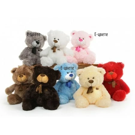 Delivery of Teddy Bear
